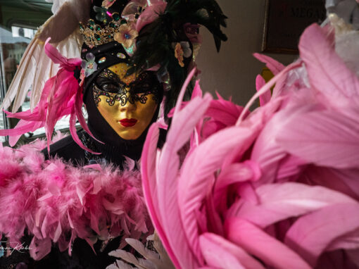 Carneval Unmasked