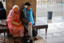 #P4/51, Venice 02/2025