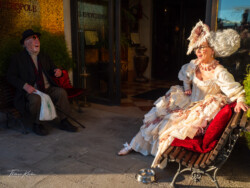 #P4/34, Venice 02/2025