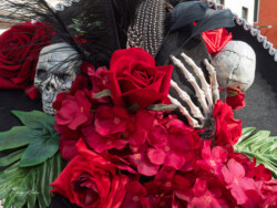 #P4/17, Venice 02/2025